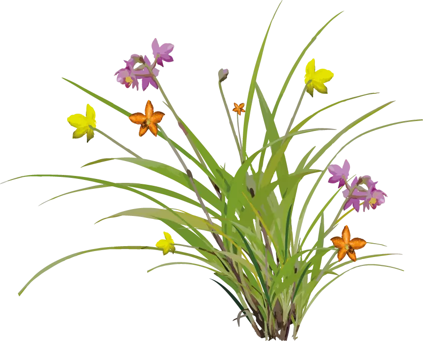 logo herbier