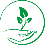une plante qui tiens dans une main